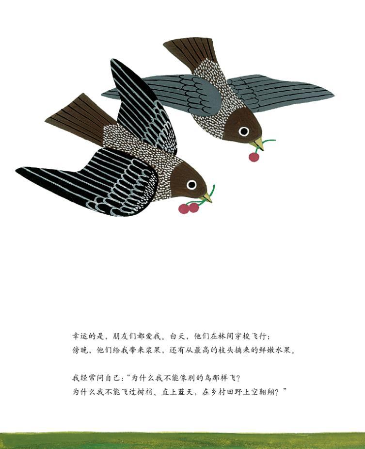 蒂科与金翅膀 (08),绘本,绘本故事,绘本阅读,故事书,童书,图画书,课外阅读